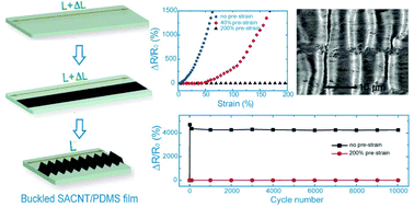 Graphical abstract: Ultra-stretchable conductors based on buckled super-aligned carbon nanotube films