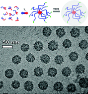 Graphical abstract: Bio-inspired synthesis of hybrid silica nanoparticles templated from elastin-like polypeptide micelles