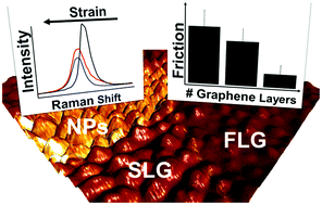 Graphical abstract: The influence of nanoscale roughness and substrate chemistry on the frictional properties of single and few layer graphene