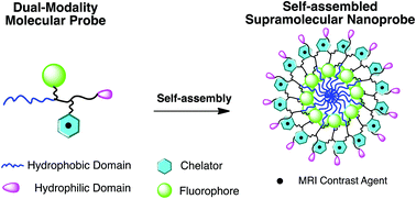 Graphical abstract: Design and assembly of supramolecular dual-modality nanoprobes