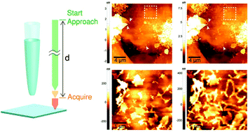Graphical abstract: Closed-loop ARS mode for scanning ion conductance microscopy with improved speed and stability for live cell imaging applications