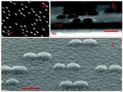 Graphical abstract: Dimer-on-mirror SERS substrates with attogram sensitivity fabricated by colloidal lithography