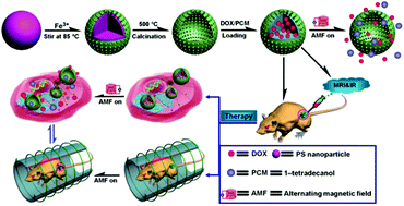 Graphical abstract: Phase-change material filled hollow magnetic nanoparticles for cancer therapy and dual modal bioimaging