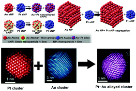 Graphical abstract: Spontaneous formation of Au–Pt alloyed nanoparticles using pure nano-counterparts as starters: a ligand and size dependent process