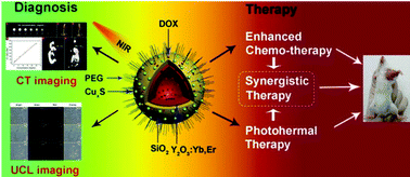 Graphical abstract: Y2O3:Yb,Er@mSiO2–CuxS double-shelled hollow spheres for enhanced chemo-/photothermal anti-cancer therapy and dual-modal imaging