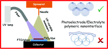 Graphical abstract: Dispelling clichés at the nanoscale: the true effect of polymer electrolytes on the performance of dye-sensitized solar cells