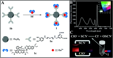 Graphical abstract: White emission magnetic nanoparticles as chemosensors for sensitive colorimetric and ratiometric detection, and degradation of ClO− and SCN− in aqueous solutions based on a logic gate approach