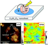 Graphical abstract: Kelvin probe imaging of photo-injected electrons in metal oxide nanosheets from metal sulfide quantum dots under remote photochromic coloration