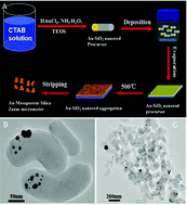 Graphical abstract: Self-propelled micromotors based on Au–mesoporous silica nanorods