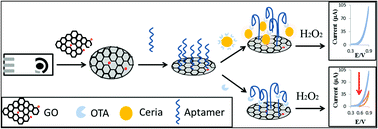 Graphical abstract: A generic amplification strategy for electrochemical aptasensors using a non-enzymatic nanoceria tag