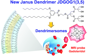 Graphical abstract: Novel stable dendrimersome formulation for safe bioimaging applications