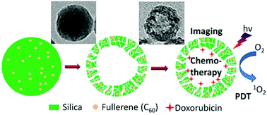 Graphical abstract: Preparation of fluorescent mesoporous hollow silica–fullerene nanoparticles via selective etching for combined chemotherapy and photodynamic therapy