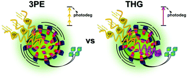 Graphical abstract: Non-linear optical response by functionalized gold nanospheres: identifying design principles to maximize the molecular photo-release