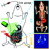 Graphical abstract: Silica-coated bismuth sulfide nanorods as multimodal contrast agents for a non-invasive visualization of the gastrointestinal tract