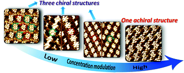Graphical abstract: Concentration-dependent structure and structural transition from chirality to nonchirality at the liquid–solid interface by coassembly