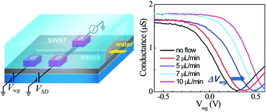 Graphical abstract: Suspended single-walled carbon nanotube fluidic sensors