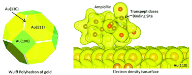 Graphical abstract: The gold/ampicillin interface at the atomic scale