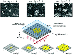 Graphical abstract: Characteristics of localized surface plasmons excited on mixed monolayers composed of self-assembled Ag and Au nanoparticles