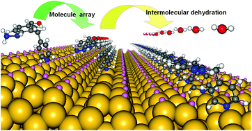 Graphical abstract: A theoretical guide for fabricating a conductive molecular wire on a silicon surface via an in situ surface polymerization reaction