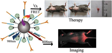 Graphical abstract: In vivo 808 nm image-guided photodynamic therapy based on an upconversion theranostic nanoplatform