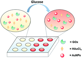 Graphical abstract: A high-throughput colorimetric assay for glucose detection based on glucose oxidase-catalyzed enlargement of gold nanoparticles