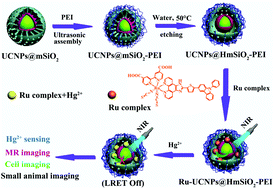 Graphical abstract: Simultaneous realization of Hg2+ sensing, magnetic resonance imaging and upconversion luminescence in vitro and in vivo bioimaging based on hollow mesoporous silica coated UCNPs and ruthenium complex