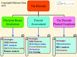 Graphical abstract: Retracted Article: Insights from investigations of tin dioxide and its composites: electron-beam irradiation, fractal assessment, and mechanism
