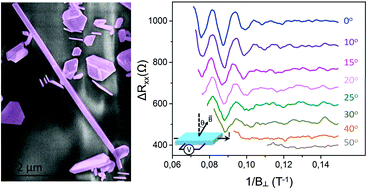 Graphical abstract: Catalyst-free vapour–solid technique for deposition of Bi2Te3 and Bi2Se3 nanowires/nanobelts with topological insulator properties