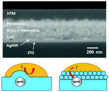 Graphical abstract: Fully solution-processed transparent electrodes based on silver nanowire composites for perovskite solar cells