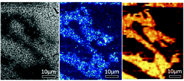 Graphical abstract: Micro-dressing of a carbon nanotube array with MoS2 gauze