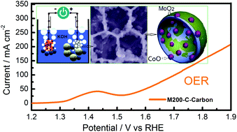 Graphical abstract: MoO2–CoO coupled with a macroporous carbon hybrid electrocatalyst for highly efficient oxygen evolution