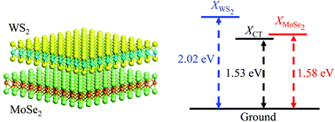 Graphical abstract: Probing charge transfer excitons in a MoSe2–WS2 van der Waals heterostructure
