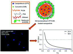Graphical abstract: Hyaluronic acid-functionalized polymeric nanoparticles for colon cancer-targeted combination chemotherapy