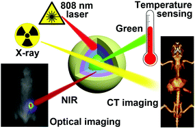 Graphical abstract: Nd3+-sensitized NaLuF4 luminescent nanoparticles for multimodal imaging and temperature sensing under 808 nm excitation