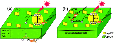 Graphical abstract: Exploring the effects of nanocrystal facet orientations in g-C3N4/BiOCl heterostructures on photocatalytic performance
