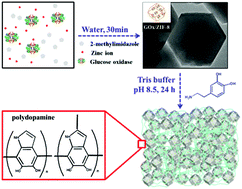 Graphical abstract: Polydopamine tethered enzyme/metal–organic framework composites with high stability and reusability