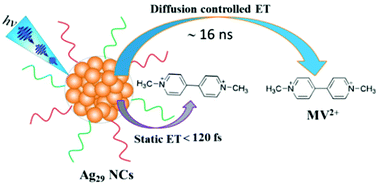 Graphical abstract: Ultrafast static and diffusion-controlled electron transfer at Ag29 nanocluster/molecular acceptor interfaces