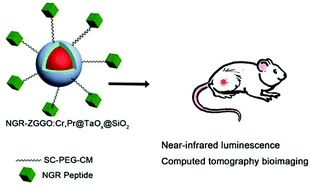 Graphical abstract: Radiopaque tantalum oxide coated persistent luminescent nanoparticles as multimodal probes for in vivo near-infrared luminescence and computed tomography bioimaging