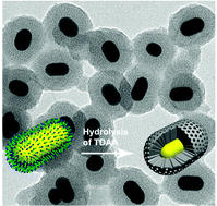 Graphical abstract: Direct coating of mesoporous titania on CTAB-capped gold nanorods