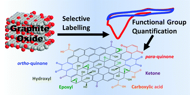 Graphical abstract: Refinements to the structure of graphite oxide: absolute quantification of functional groups via selective labelling