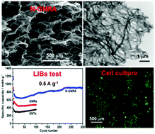 Graphical abstract: Multifunctional nitrogen-doped graphene nanoribbon aerogels for superior lithium storage and cell culture