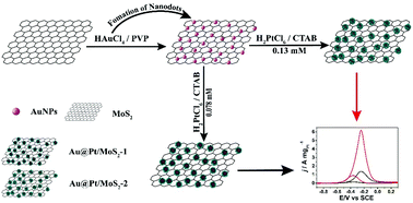 Graphical abstract: Uniform Au@Pt core–shell nanodendrites supported on molybdenum disulfide nanosheets for the methanol oxidation reaction