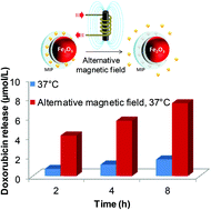 Graphical abstract: Design of magnetic molecularly imprinted polymer nanoparticles for controlled release of doxorubicin under an alternative magnetic field in athermal conditions