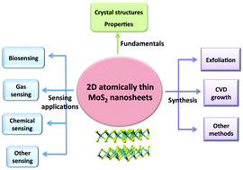 Graphical abstract: Two dimensional atomically thin MoS2 nanosheets and their sensing applications