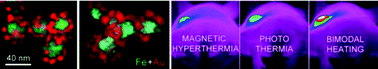 Graphical abstract: Can magneto-plasmonic nanohybrids efficiently combine photothermia with magnetic hyperthermia?