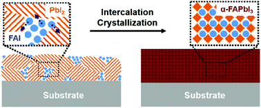 Graphical abstract: Intercalation crystallization of phase-pure α-HC(NH2)2PbI3 upon microstructurally engineered PbI2 thin films for planar perovskite solar cells