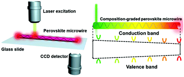 Graphical abstract: Wavelength-tunable waveguides based on polycrystalline organic–inorganic perovskite microwires