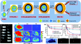 Graphical abstract: Gd-based upconversion nanocarriers with yolk–shell structure for dual-modal imaging and enhanced chemotherapy to overcome multidrug resistance in breast cancer
