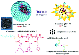 Graphical abstract: pH-Responsive biodegradable polymeric micelles with anchors to interface magnetic nanoparticles for MR imaging in detection of cerebral ischemic area