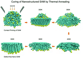 Graphical abstract: Thermal curing of a self-assembled monolayer at the nanoscale